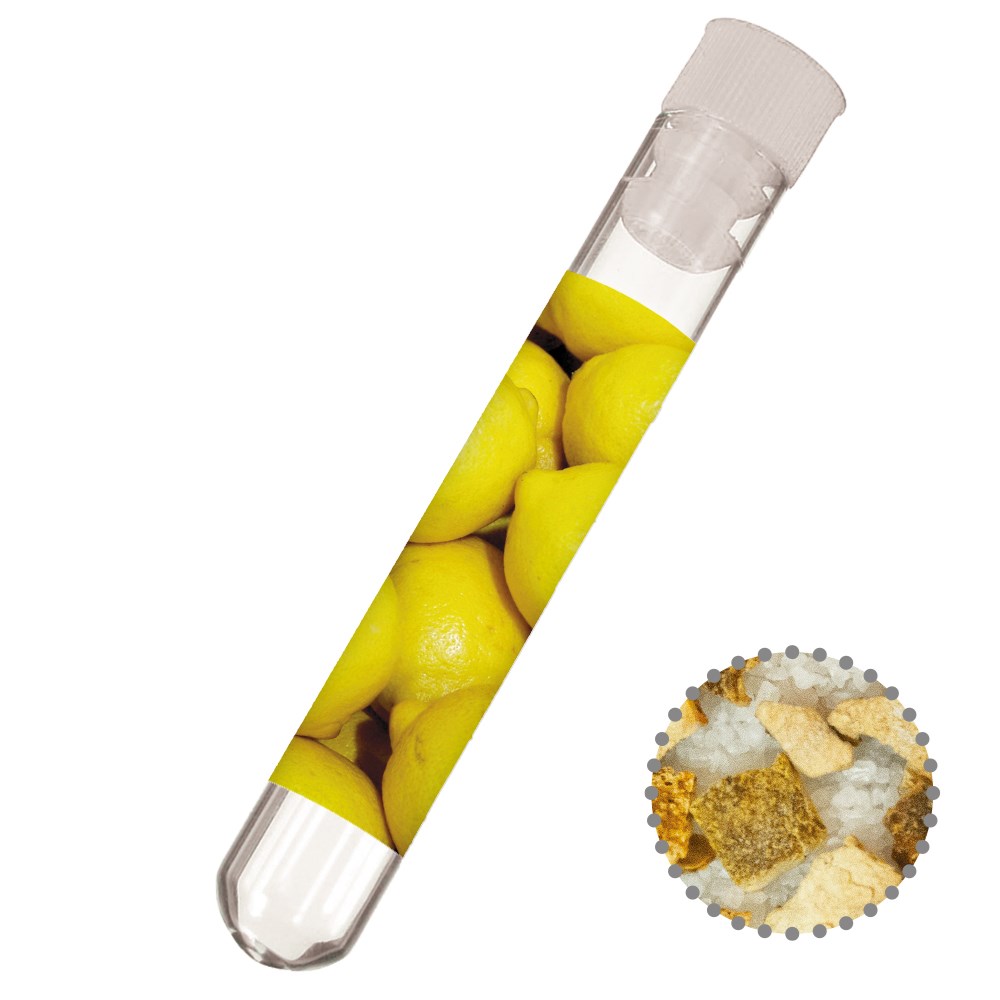 Gewürzmischung Zitronen-Salz, ca. 12g, Reagenzglas