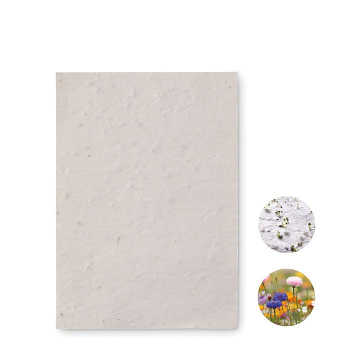 ASIDO - DIN A6 Wildblumen-Samenpapier